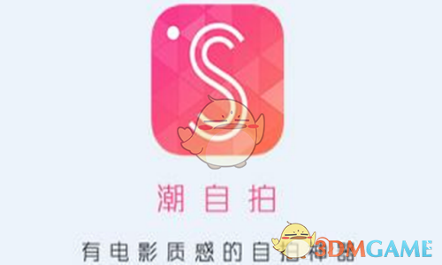 宣夜子空联手开大